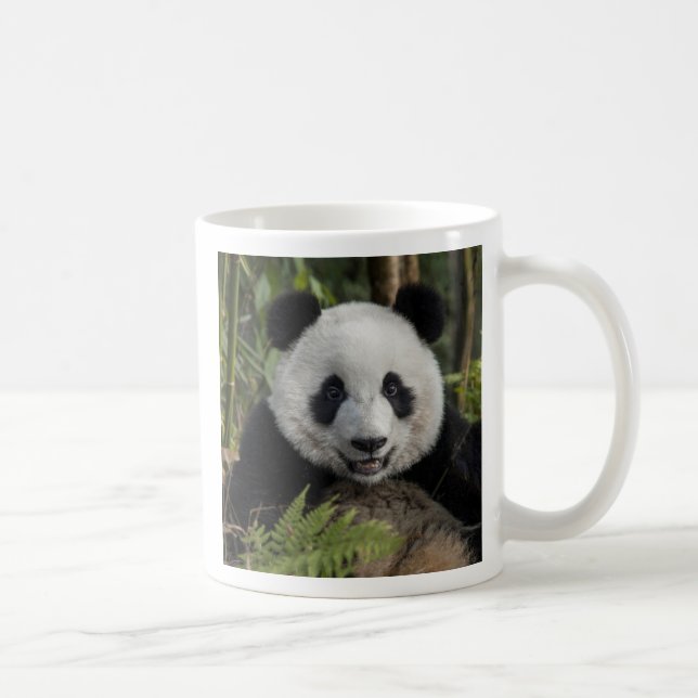 Taza De Café Feliz panda joven, China (Derecha)
