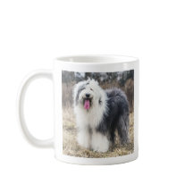 Feliz perro pastor inglés antiguo esponjoso retrat