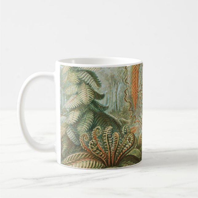 Taza De Café Fern, Filicinae Laubfarne, de Ernst Haeckel (Izquierda)