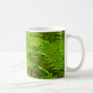 Taza De Café Fern Fronds III Naturaleza verde Botánica