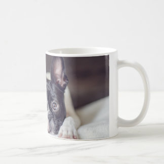 Taza De Café Fina la Boston Terrier