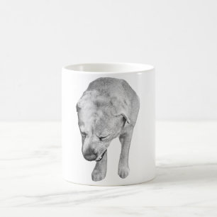 Taza De Café Fireside Labrador en suave sombra invernal