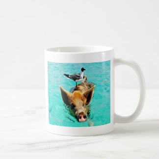 Taza De Café Fis de la gaviota del cerdo de la natación de la