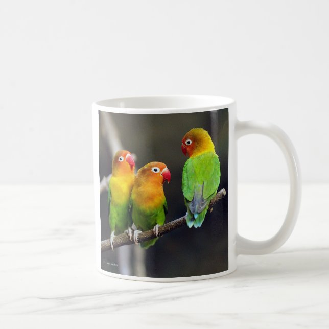 Taza De Café “Fischer's Lovebird” (Derecha)