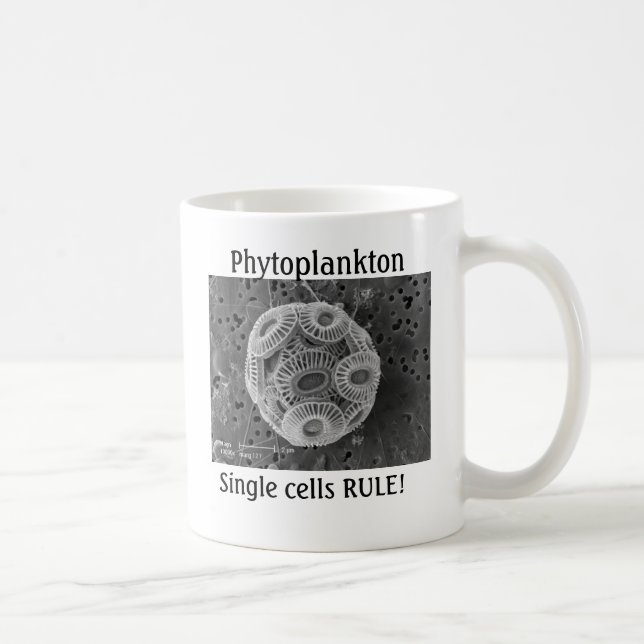 Taza De Café ¡Fitoplacton, REGLA de las células! (Derecha)