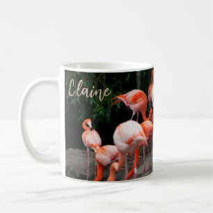 Taza De Café Flamenco Tropical Escénico