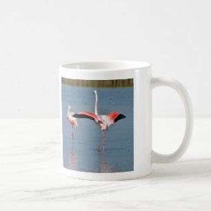 Taza De Café Flamencos en el agua en Camarga