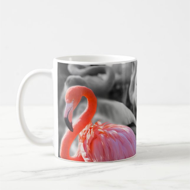 Taza De Café Flamingo Bird Photography (Izquierda)