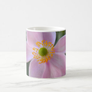 Taza De Café Flor anémica rosa japonesa