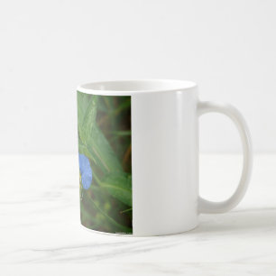 Taza De Café Flor Asiática del Día Azul Ropa y Regalos
