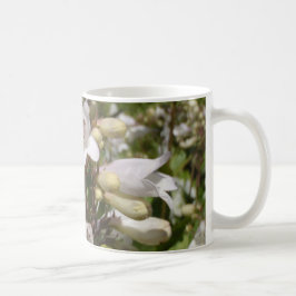 Taza De Café Flor Blanca