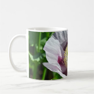 Taza De Café Flor de amapola rosa y púrpura