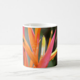 Taza De Café Flor de ave del paraíso naranja hawaiana