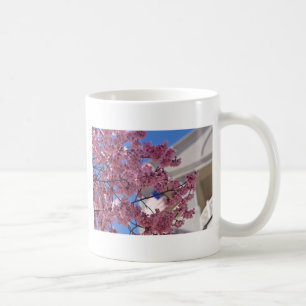 Taza De Café Flor de Cerezo Sakura Americana