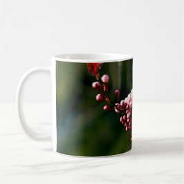 Taza De Café Flor de color rosa en la cálida luz del verano