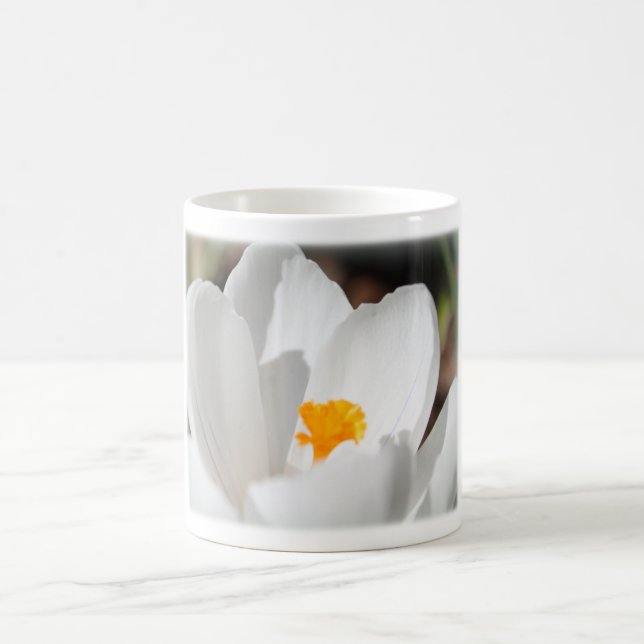 Taza De Café flor de crocus blanca (Centro)