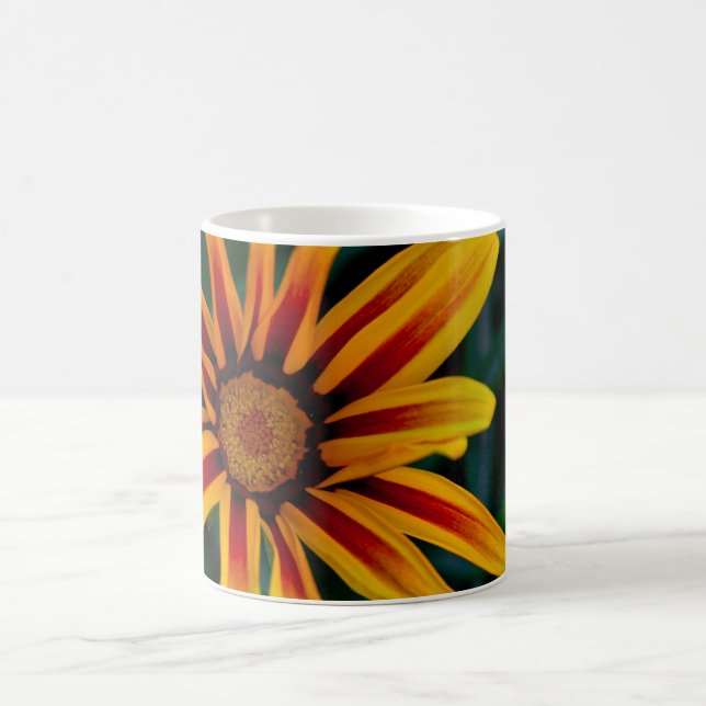 Taza De Café Flor de Gazania (Centro)