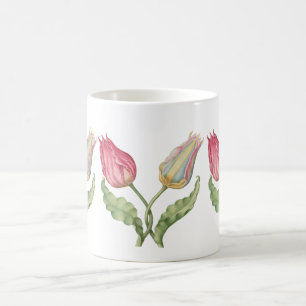 Taza De Café Flor de ilustracion botánico vintage Tulip