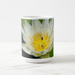 Taza De Café Flor de lirio de agua blanca y Bee Mug