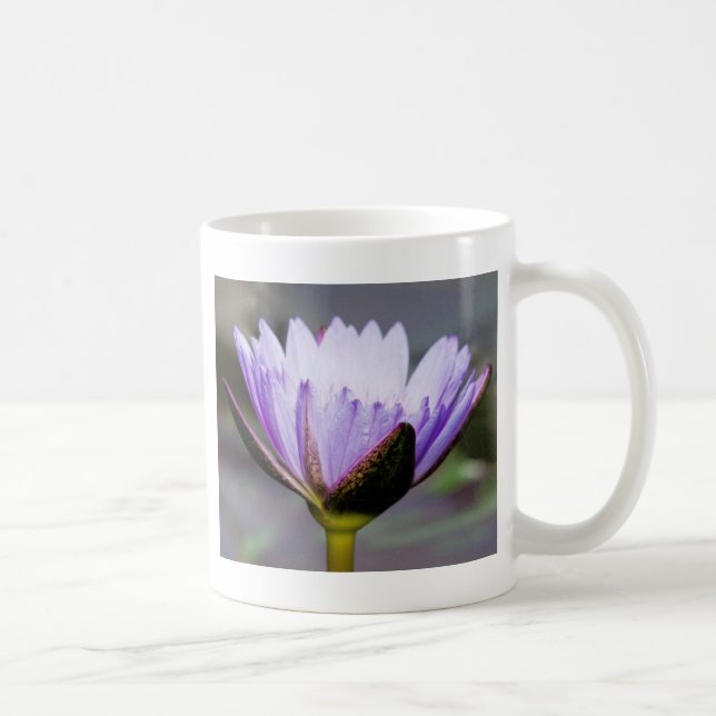 Taza De Café Flor de Lotus (Derecha)