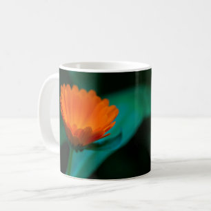 Taza De Café flor de margarita naranja