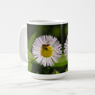Taza De Café Flor de margarita y abeja