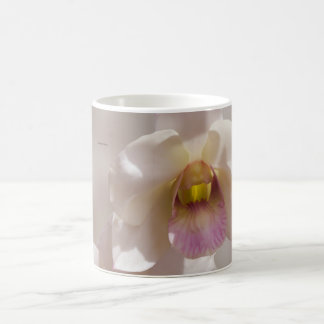 Taza De Café Flor de orquídea blanca y rosa sobre fondo desenfo