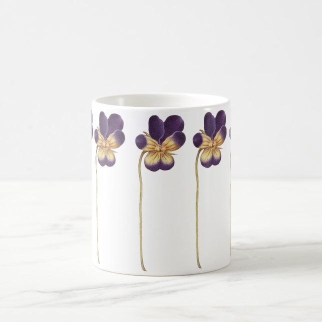 Taza De Café Flor de pansy silvestre dibujada (Centro)