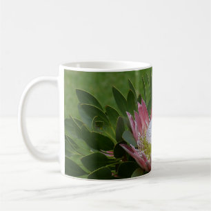 Taza De Café Flor de Protea Rosa