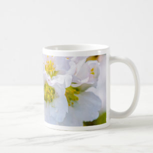 Taza De Café Flor de Sakura