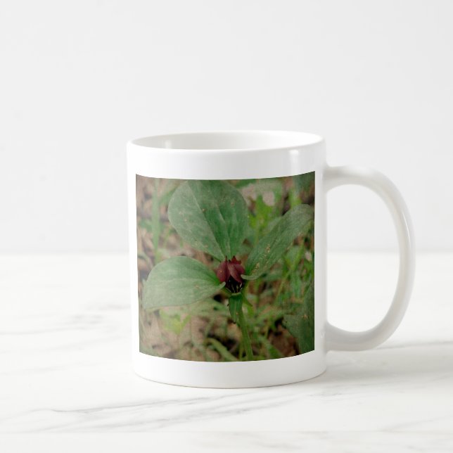 Taza De Café Flor de trilio (Derecha)