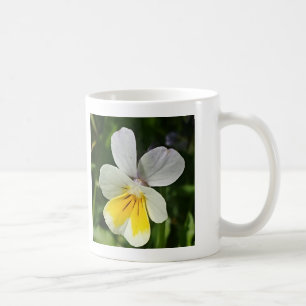 Taza De Café Flor de viola amarilla