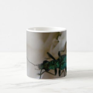 Taza De Café Flor escarabajo