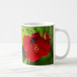 Taza De Café Flor Hawaii roja hibiscus