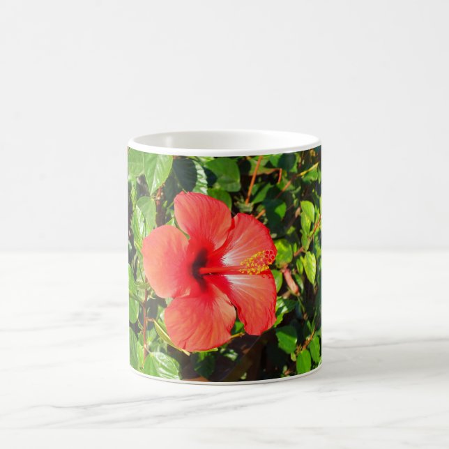 Taza De Café Flor hibiscus (Centro)