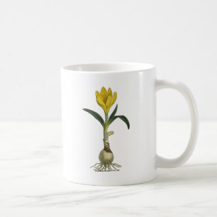 Taza De Café Flor Jardín Botánico Amaryllis Tulip