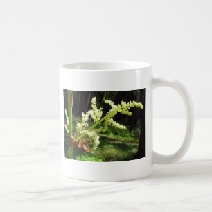 Taza De Café Flor: Marcha de ruibarbo en foto natural