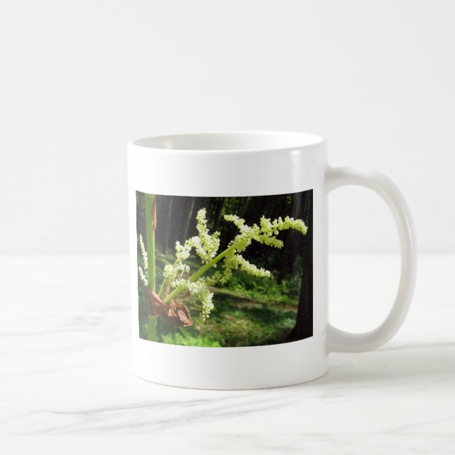 Taza De Café Flor: Marcha de ruibarbo en foto natural (Derecha)