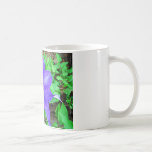 Taza De Café Flor morada de clematis