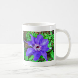 Taza De Café Flor morada de clematis