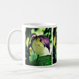 Taza De Café Flor Orquídea de la Mujer Blanca