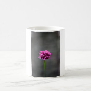 Taza De Café Flor rosa