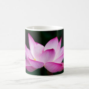 Taza De Café Flor rosa Lotus