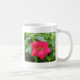 Taza De Café Flor rosa Petunia