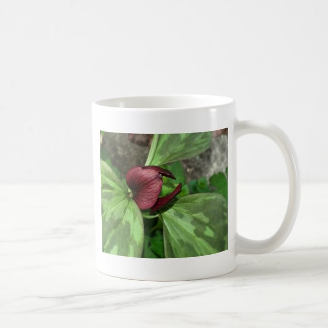 Taza De Café Flor silvestre (Derecha)