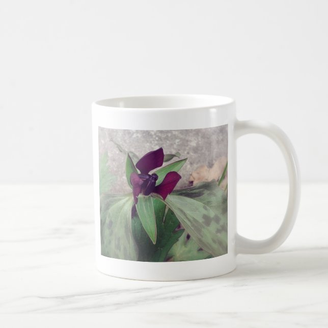 Taza De Café Flor silvestre floreciente (Derecha)