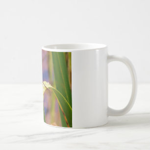 Taza De Café Flora de dragón en hojas de roca de lluvia