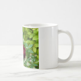 Taza De Café Floral
