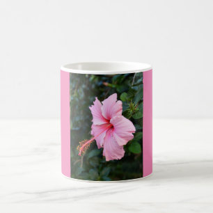 Taza De Café Floral rosa Hibiscus