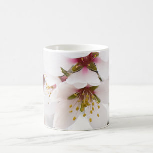 Taza De Café Florecimiento de almendra